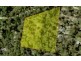 96 Jerberra Road, Tomerong NSW 2540