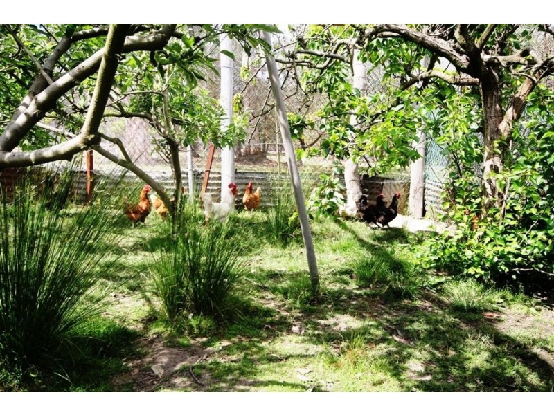 95 Jerberra Road, Tomerong NSW 2540