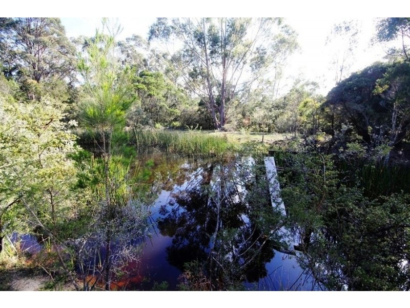 95 Jerberra Road, Tomerong NSW 2540