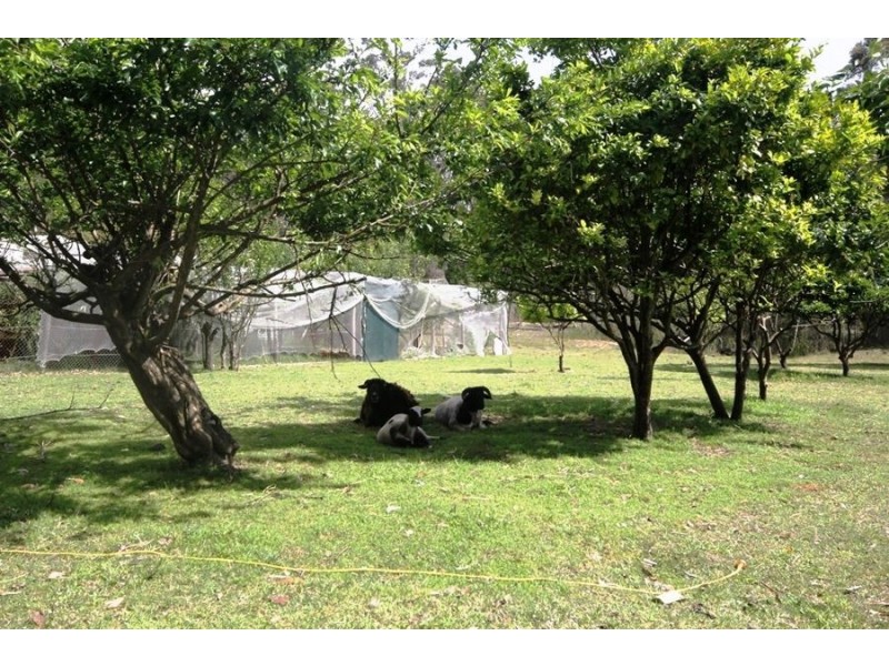 95 Jerberra Road, Tomerong NSW 2540