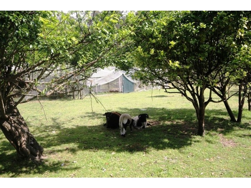 95 Jerberra Road, Tomerong NSW 2540