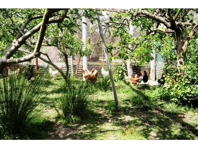 95 Jerberra Road, Tomerong NSW 2540