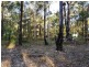 33 Invermay Avenue, Tomerong NSW 2540