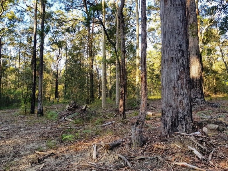 33 Invermay Avenue, Tomerong NSW 2540