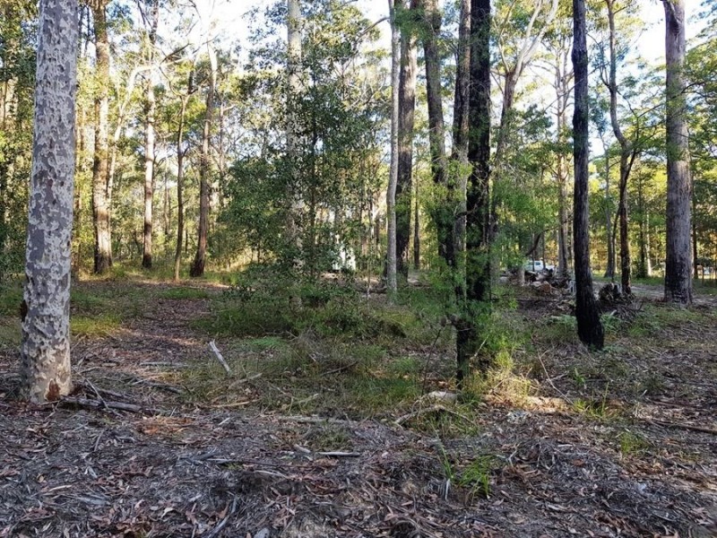 33 Invermay Avenue, Tomerong NSW 2540