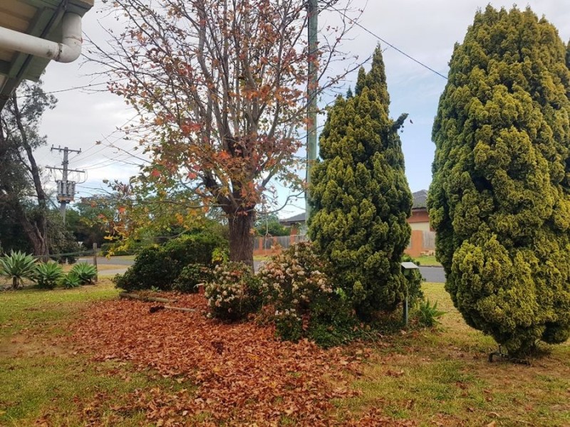 10 Dalwah Street, Bomaderry NSW 2541