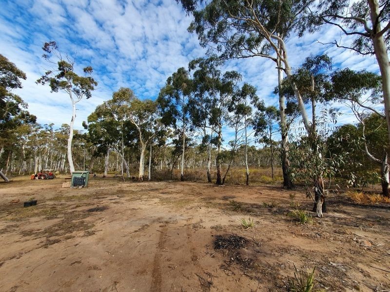 344 Meangora Road, Nerriga NSW 2622