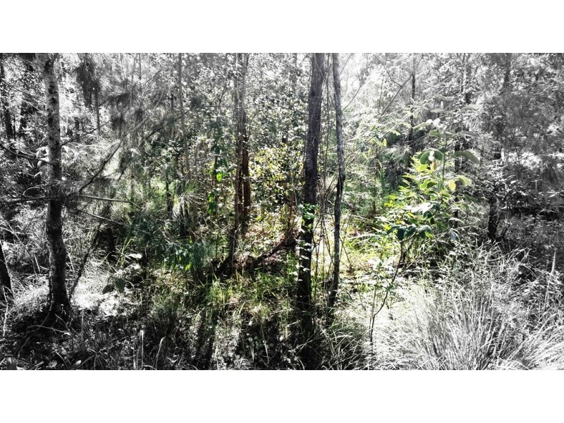 576 Lusitania Avenue, Basin View NSW 2540