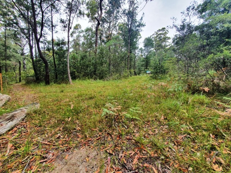 578 Lusitania Avenue, Basin View NSW 2540