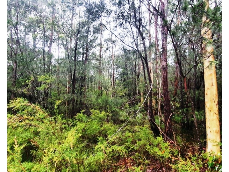 96 Jerberra Road, Tomerong NSW 2540