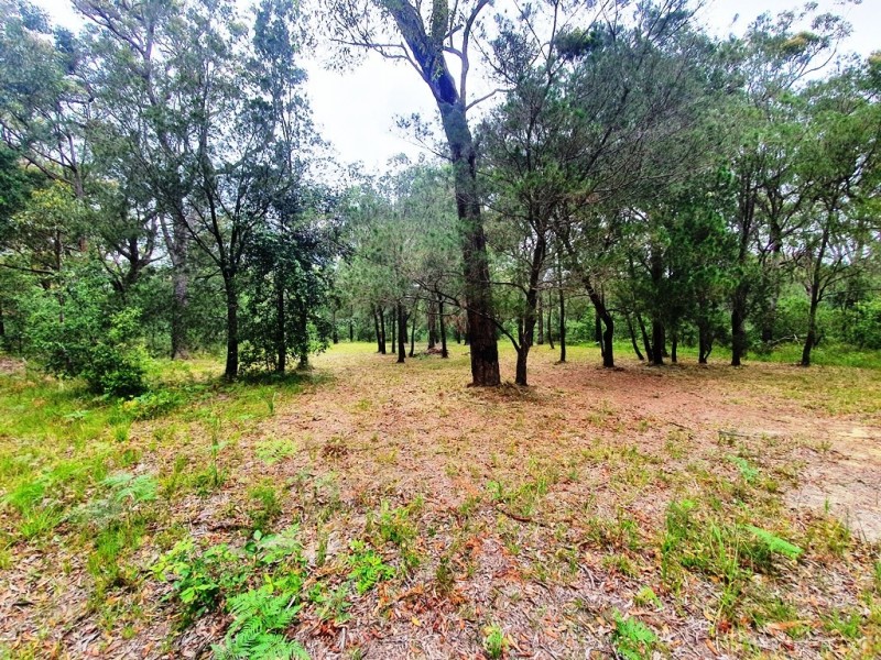 537 Clarendon Cres, Basin View NSW 2540