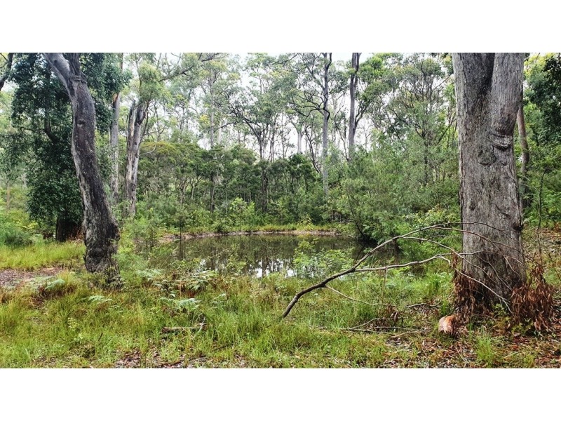 145 Greenslopes Avenue, Tomerong NSW 2540