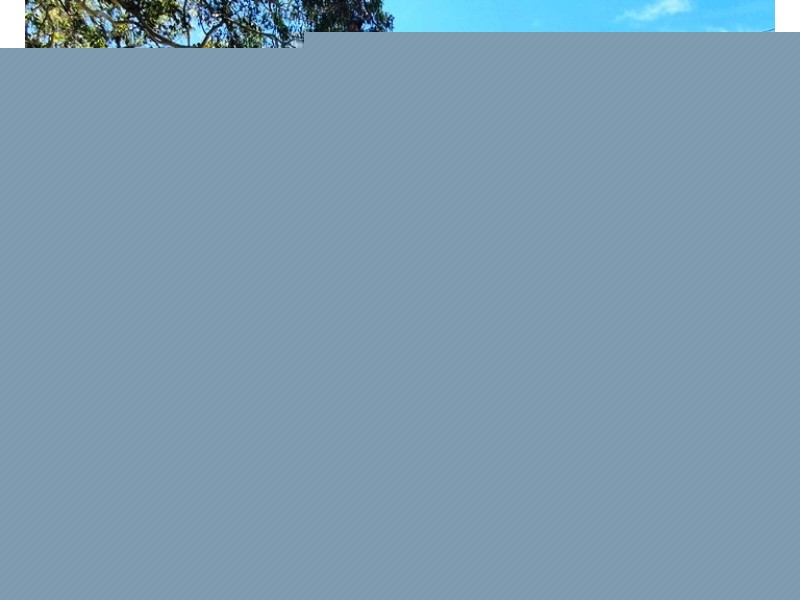 112 Jerberra Road, Tomerong NSW 2540