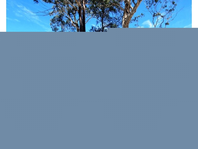 112 Jerberra Road, Tomerong NSW 2540