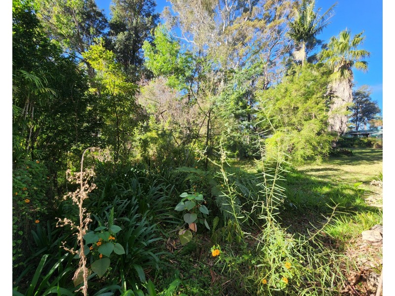 87 Tallyan Point Road, Basin View NSW 2540