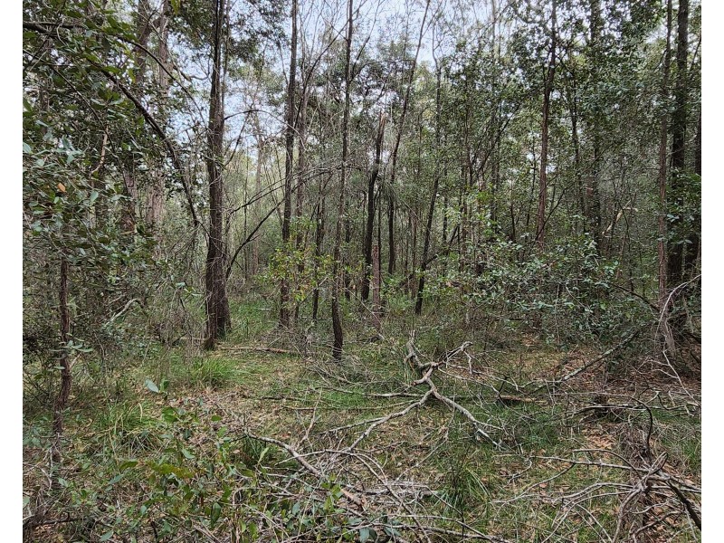 lot 655,658,660-661, 663 Clarendon Cres, Basin View NSW 2540
