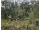 lot 655,658,660-661, 663 Clarendon Cres, Basin View NSW 2540