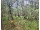 2 Nebraska Road, St Georges Basin NSW 2540