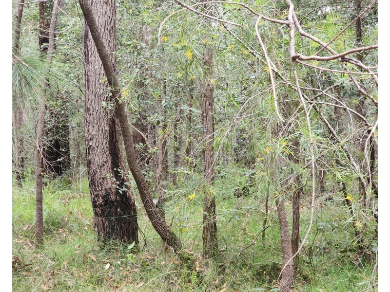 2 Nebraska Road, St Georges Basin NSW 2540