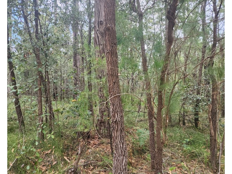 2 Nebraska Road, St Georges Basin NSW 2540