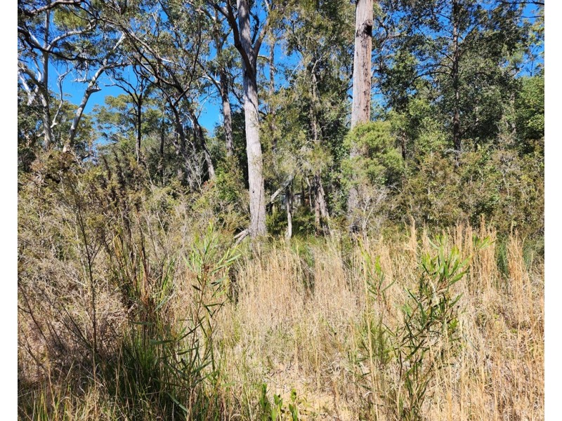 16/lot 16 Advance Road, Sussex Inlet NSW 2540