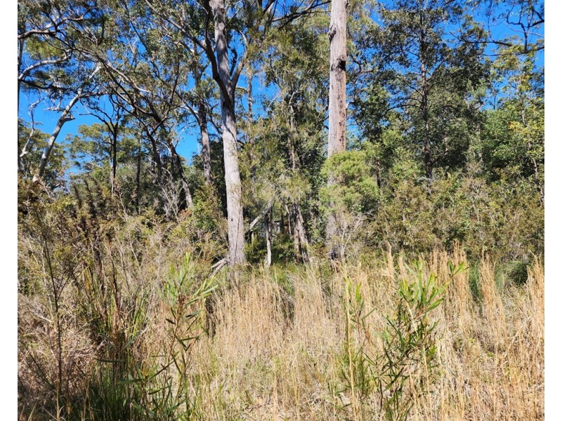 16/lot 16 Advance Road, Sussex Inlet NSW 2540