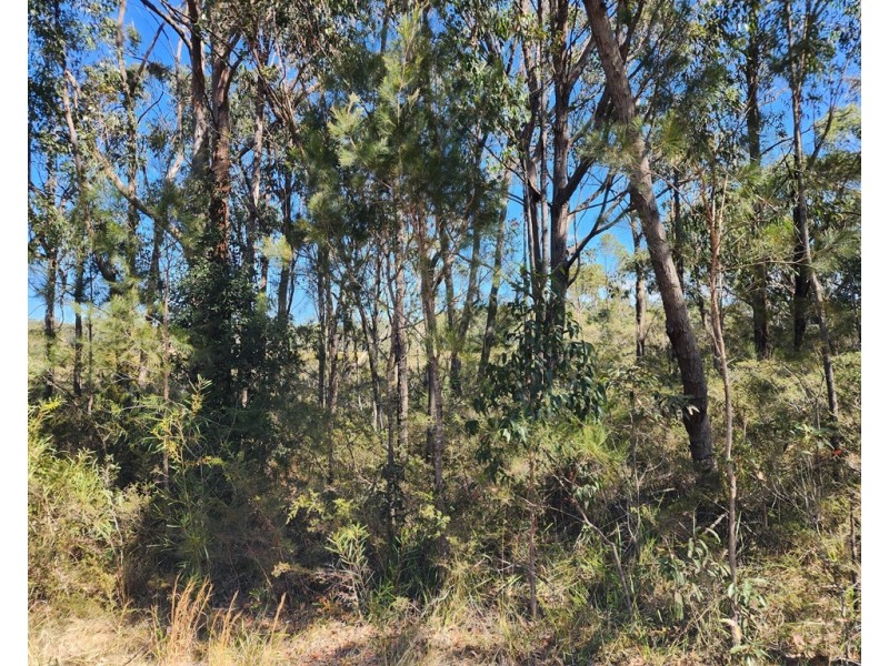 16/lot 16 Advance Road, Sussex Inlet NSW 2540