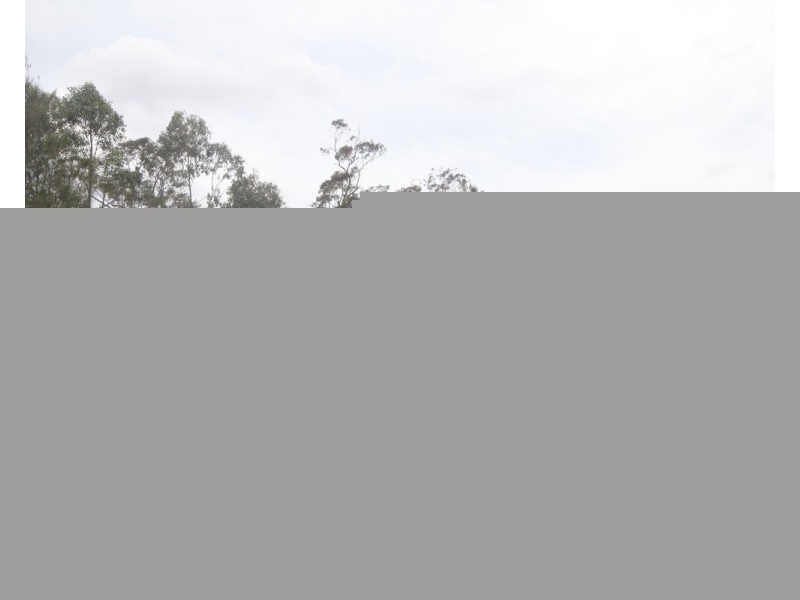 63 Summercloud Crescent, Vincentia NSW 2540