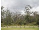 63 Summercloud Crescent, Vincentia NSW 2540