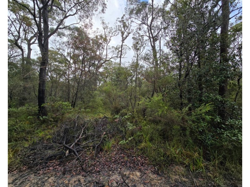 Lot 555 Atherton St Basin View, Basin View NSW 2540