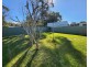 9 Morton Street, Callala Bay NSW 2540