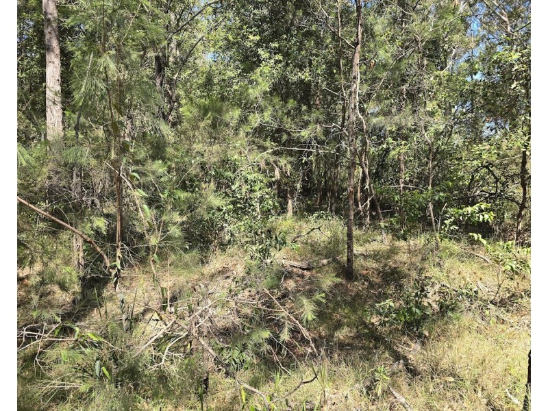 10 WOOLLAMIA ROAD, Woollamia NSW 2540