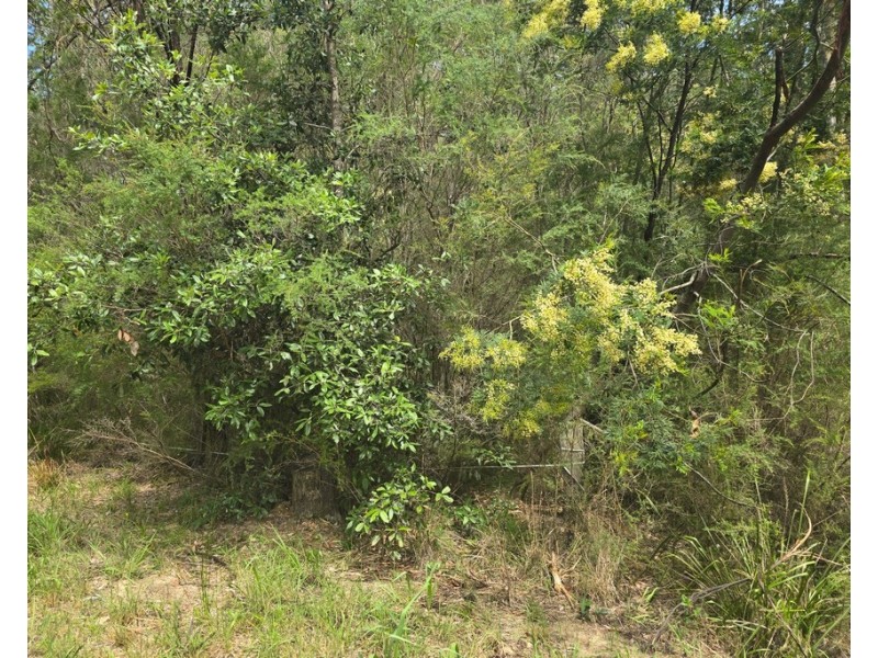 152 Inglewood Crescent, Tomerong NSW 2540