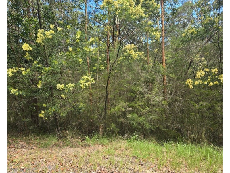 152 Inglewood Crescent, Tomerong NSW 2540