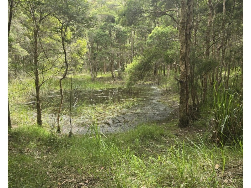 153 INGLEWOOD CRESCENT, Tomerong NSW 2540