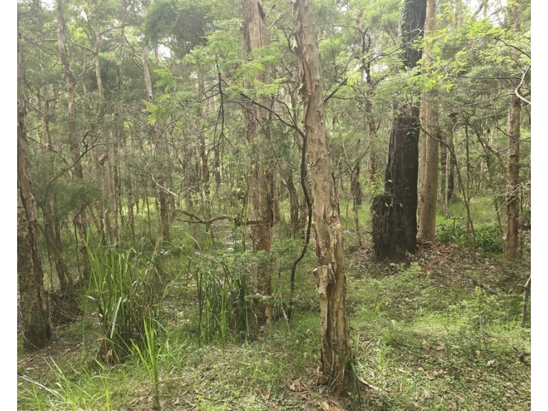 153 INGLEWOOD CRESCENT, Tomerong NSW 2540