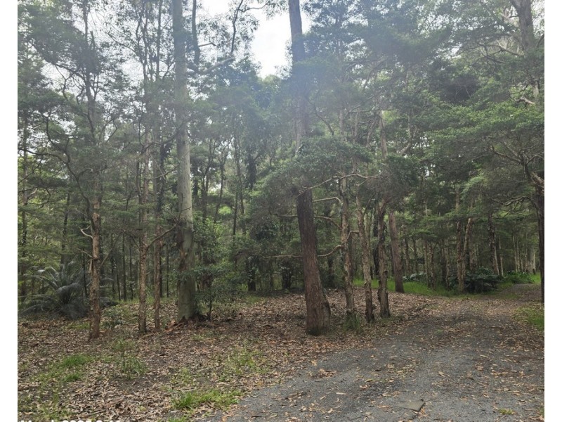 153 INGLEWOOD CRESCENT, Tomerong NSW 2540