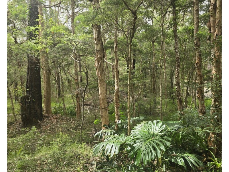 153 INGLEWOOD CRESCENT, Tomerong NSW 2540