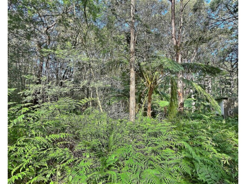 8 Pelican Road, St Georges Basin NSW 2540