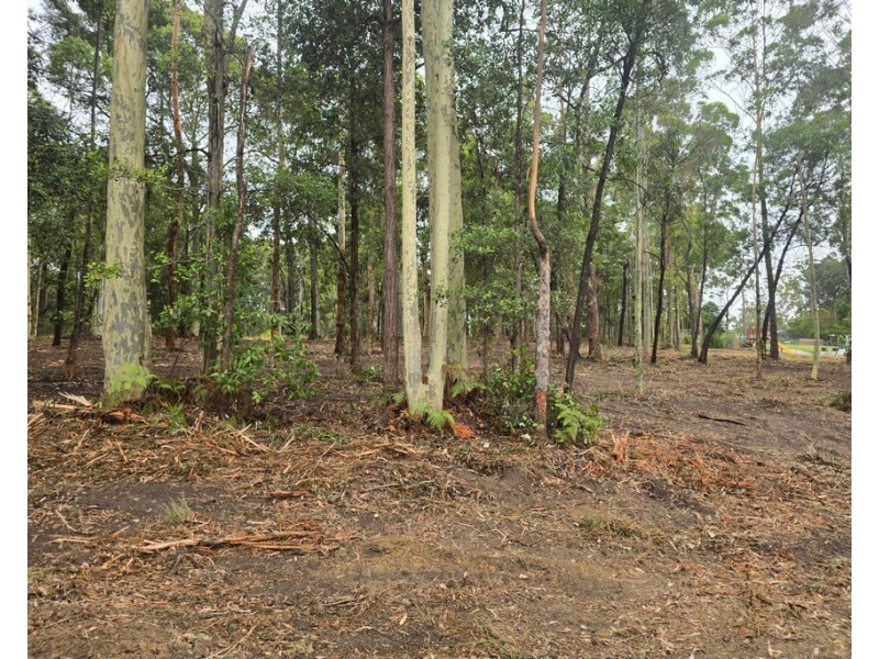 9 JERBERRA ROAD, Tomerong NSW 2540