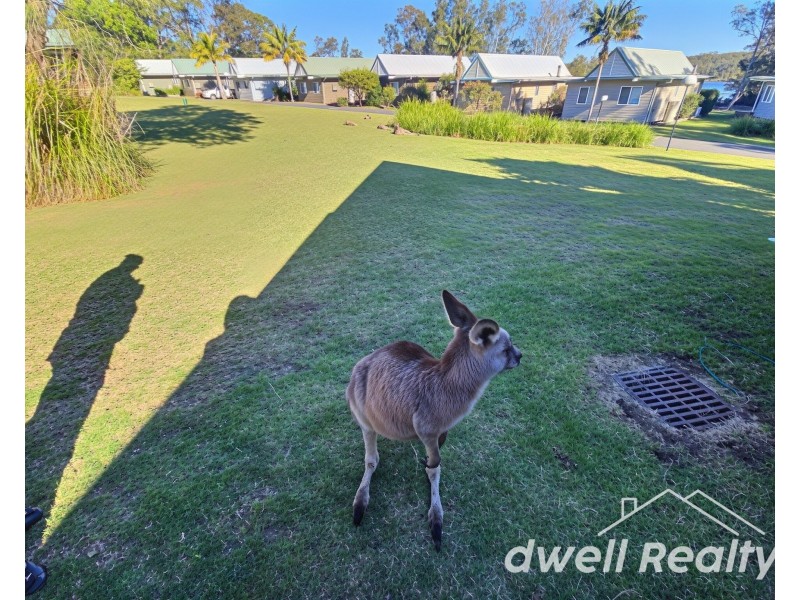 16/33 BERRARA ROAD, Berrara NSW 2540