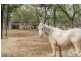 703 Greenbank Rd, North Maclean QLD 4280