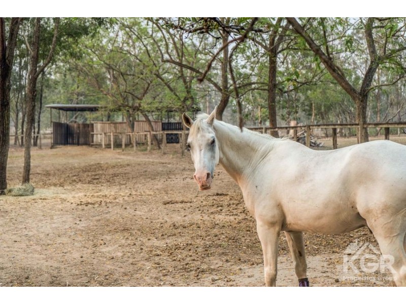 703 Greenbank Rd, North Maclean QLD 4280