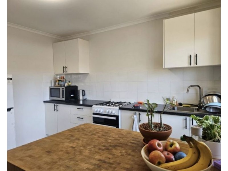 3 173 School Rd, Yeronga QLD 4104