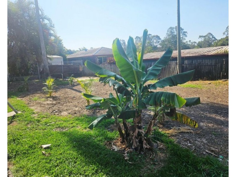 35 Silvertop Street, Hillcrest QLD 4118