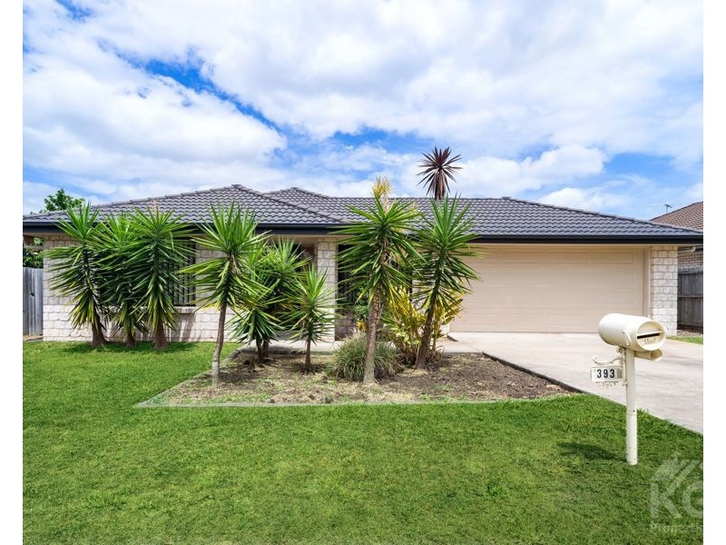 393 Benhiam Street, Calamvale QLD 4116