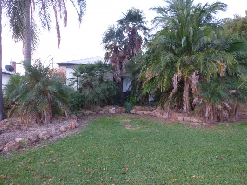 27 Kooba Street, Griffith NSW 2680