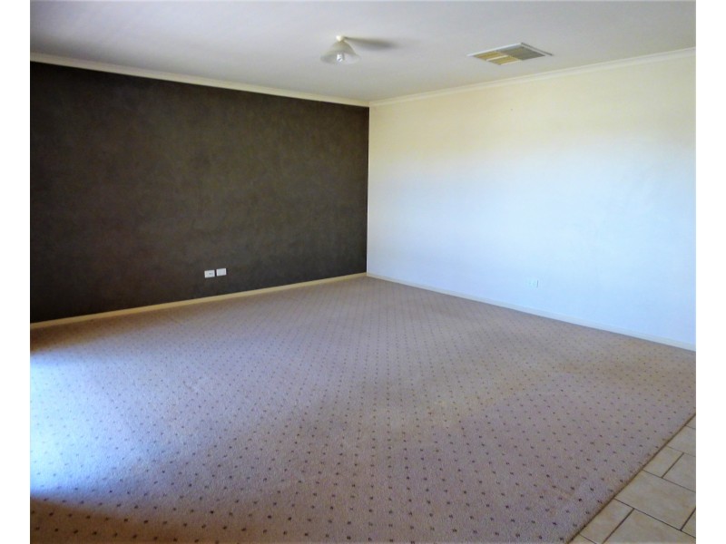 17 King Street, Darlington Point NSW 2706