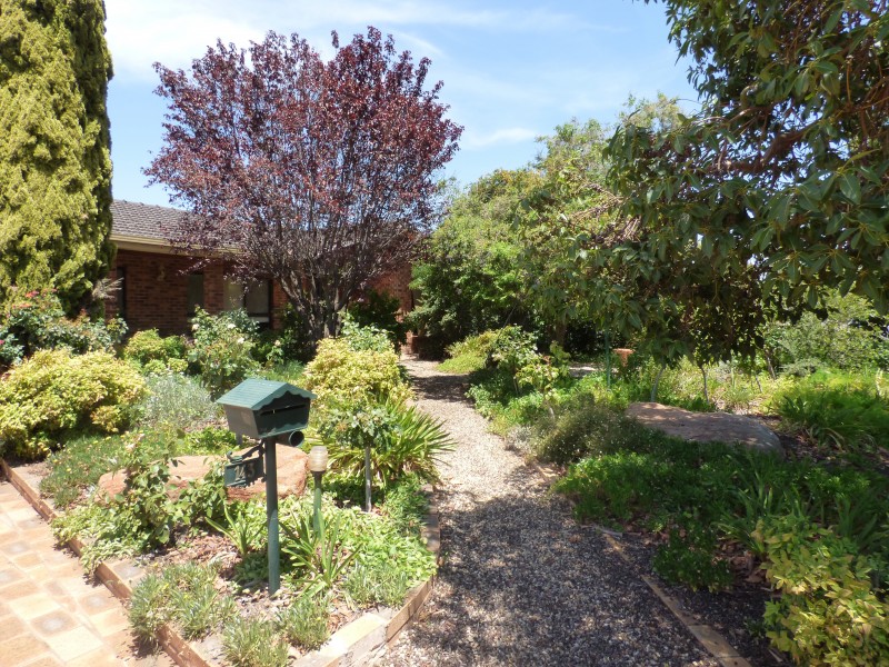 143 Erskine Road, Griffith NSW 2680