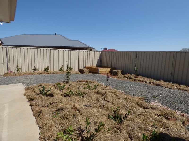 8 Scremin Grove, Griffith NSW 2680